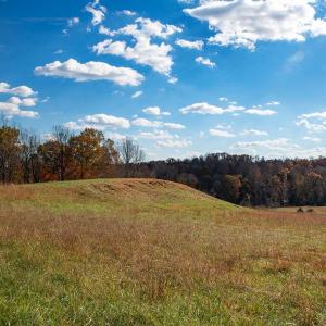 Photo #5 of 273 Airsports Dr, Amherst, VA 73.4 acres