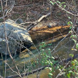 Photo #16 of 273 Airsports Dr, Amherst, VA 73.4 acres