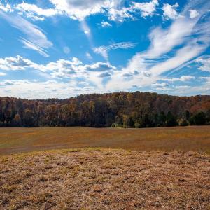 Photo #9 of 273 Airsports Dr, Amherst, VA 73.4 acres