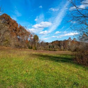 Photo #6 of 273 Airsports Dr, Amherst, VA 73.4 acres