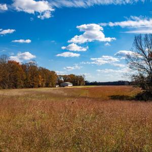 Photo #4 of 273 Airsports Dr, Amherst, VA 73.4 acres