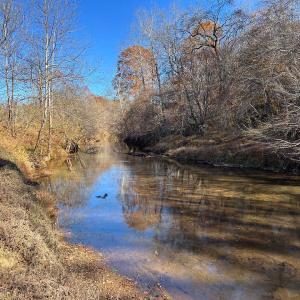 Photo #17 of 273 Airsports Dr, Amherst, VA 73.4 acres