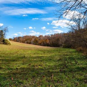 Photo #13 of 273 Airsports Dr, Amherst, VA 73.4 acres