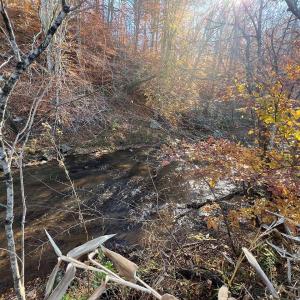 Photo #18 of 273 Airsports Dr, Amherst, VA 73.4 acres