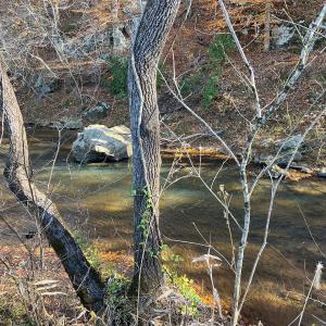 Photo #19 of 273 Airsports Dr, Amherst, VA 73.4 acres