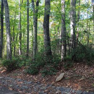 Photo #20 of Oakcrest Lane, Nellysford, VA 7.9 acres