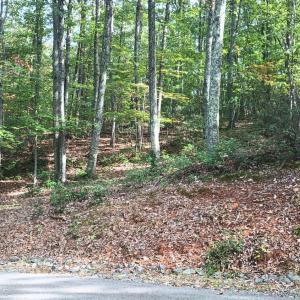 Photo #19 of Oakcrest Lane, Nellysford, VA 7.9 acres