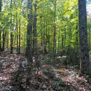 Photo #17 of Oakcrest Lane, Nellysford, VA 7.9 acres
