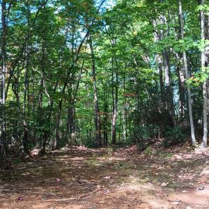 Photo #5 of Oakcrest Lane, Nellysford, VA 7.9 acres