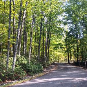 All the road frontage on the left is Lot 3