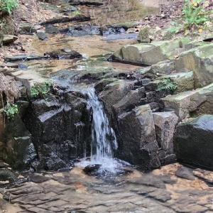 Photo #33 of Lewis Ford Road, Brookneal, VA 45.1 acres