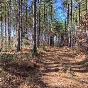 Photo #3 of Lewis Ford Road, Brookneal, VA 45.1 acres