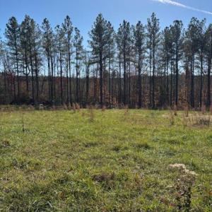 Photo #29 of Lewis Ford Road, Brookneal, VA 45.1 acres