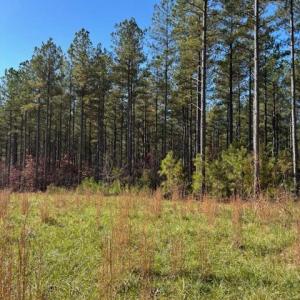 Photo #26 of Lewis Ford Road, Brookneal, VA 45.1 acres