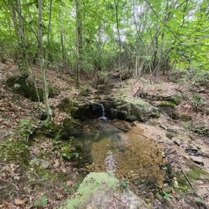 Photo #32 of Lewis Ford Road, Brookneal, VA 45.1 acres