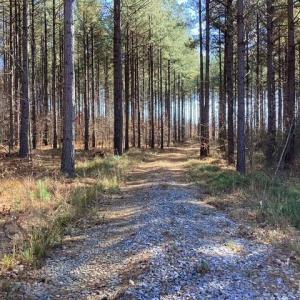 Photo #18 of Lewis Ford Road, Brookneal, VA 45.1 acres