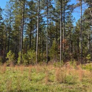 Photo #27 of Lewis Ford Road, Brookneal, VA 45.1 acres