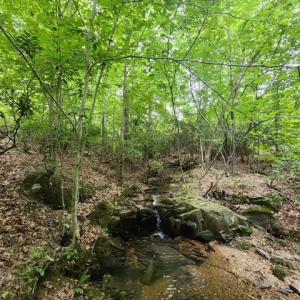 Photo #34 of Lewis Ford Road, Brookneal, VA 45.1 acres