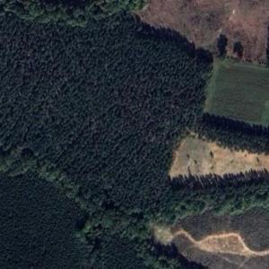 Photo #38 of Lewis Ford Road, Brookneal, VA 45.1 acres