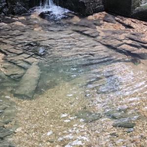 Photo #35 of Lewis Ford Road, Brookneal, VA 45.1 acres