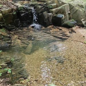 Photo #37 of Lewis Ford Road, Brookneal, VA 45.1 acres