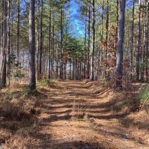 Photo #1 of Lewis Ford Road, Brookneal, VA 45.1 acres