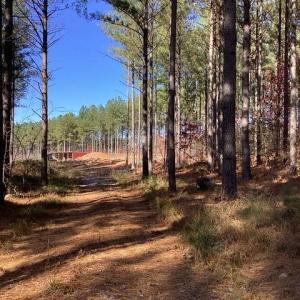 Photo #9 of Lewis Ford Road, Brookneal, VA 45.1 acres