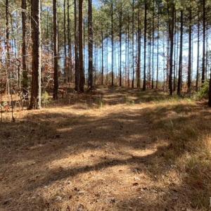 Photo #22 of Lewis Ford Road, Brookneal, VA 45.1 acres