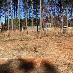 Photo #13 of Lewis Ford Road, Brookneal, VA 45.1 acres