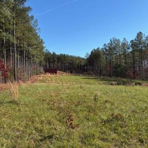 Photo #28 of Lewis Ford Road, Brookneal, VA 45.1 acres