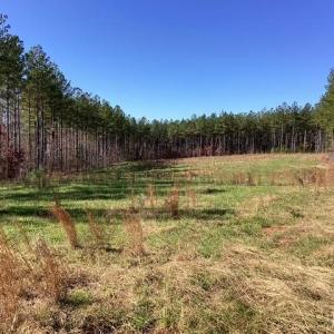 Photo #2 of Lewis Ford Road, Brookneal, VA 45.1 acres