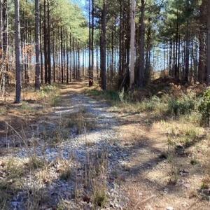 Photo #17 of Lewis Ford Road, Brookneal, VA 45.1 acres