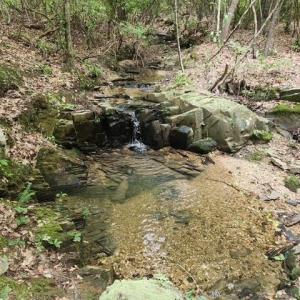 Photo #36 of Lewis Ford Road, Brookneal, VA 45.1 acres