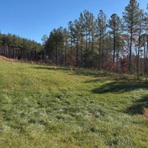 Photo #30 of Lewis Ford Road, Brookneal, VA 45.1 acres