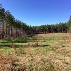 Photo #15 of Lewis Ford Road, Brookneal, VA 45.1 acres