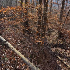 Photo #5 of Oakville Road, Gladstone, VA 1.6 acres