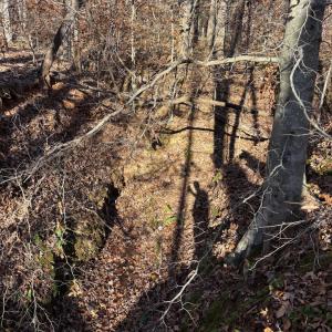 Photo #6 of Oakville Road, Gladstone, VA 1.6 acres