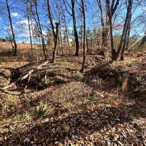 Photo #8 of Lot 2B Police Tower Rd, Appomattox, VA 14.2 acres