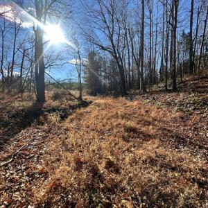 Photo #3 of Lot 2B Police Tower Rd, Appomattox, VA 14.2 acres