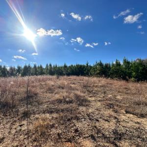 Photo #12 of Lot 2B Police Tower Rd, Appomattox, VA 14.2 acres