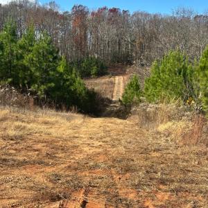 Photo #2 of Lot 2B Police Tower Rd, Appomattox, VA 14.2 acres