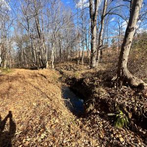 Photo #10 of Lot 2B Police Tower Rd, Appomattox, VA 14.2 acres