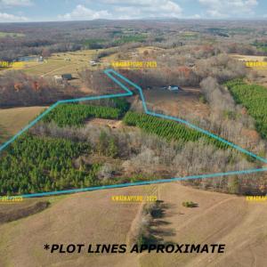 Photo #16 of Lot 2B Police Tower Rd, Appomattox, VA 14.2 acres