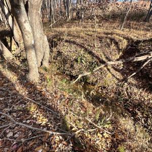 Photo #7 of Lot 2B Police Tower Rd, Appomattox, VA 14.2 acres