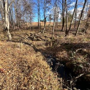 Photo #9 of Lot 2B Police Tower Rd, Appomattox, VA 14.2 acres