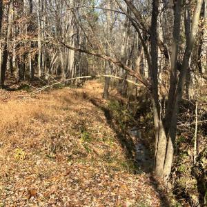 Photo #5 of Lot 2B Police Tower Rd, Appomattox, VA 14.2 acres