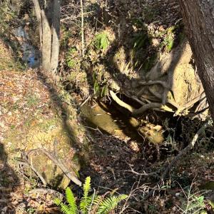 Photo #4 of Lot 2B Police Tower Rd, Appomattox, VA 14.2 acres