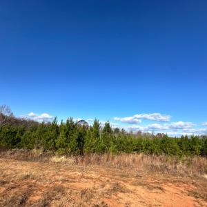Photo #13 of Lot 2B Police Tower Rd, Appomattox, VA 14.2 acres