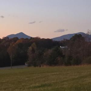 Photo #3 of Moneta Road, Moneta, VA 1.0 acres