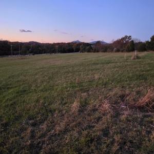 Photo #4 of Moneta Road, Moneta, VA 1.0 acres